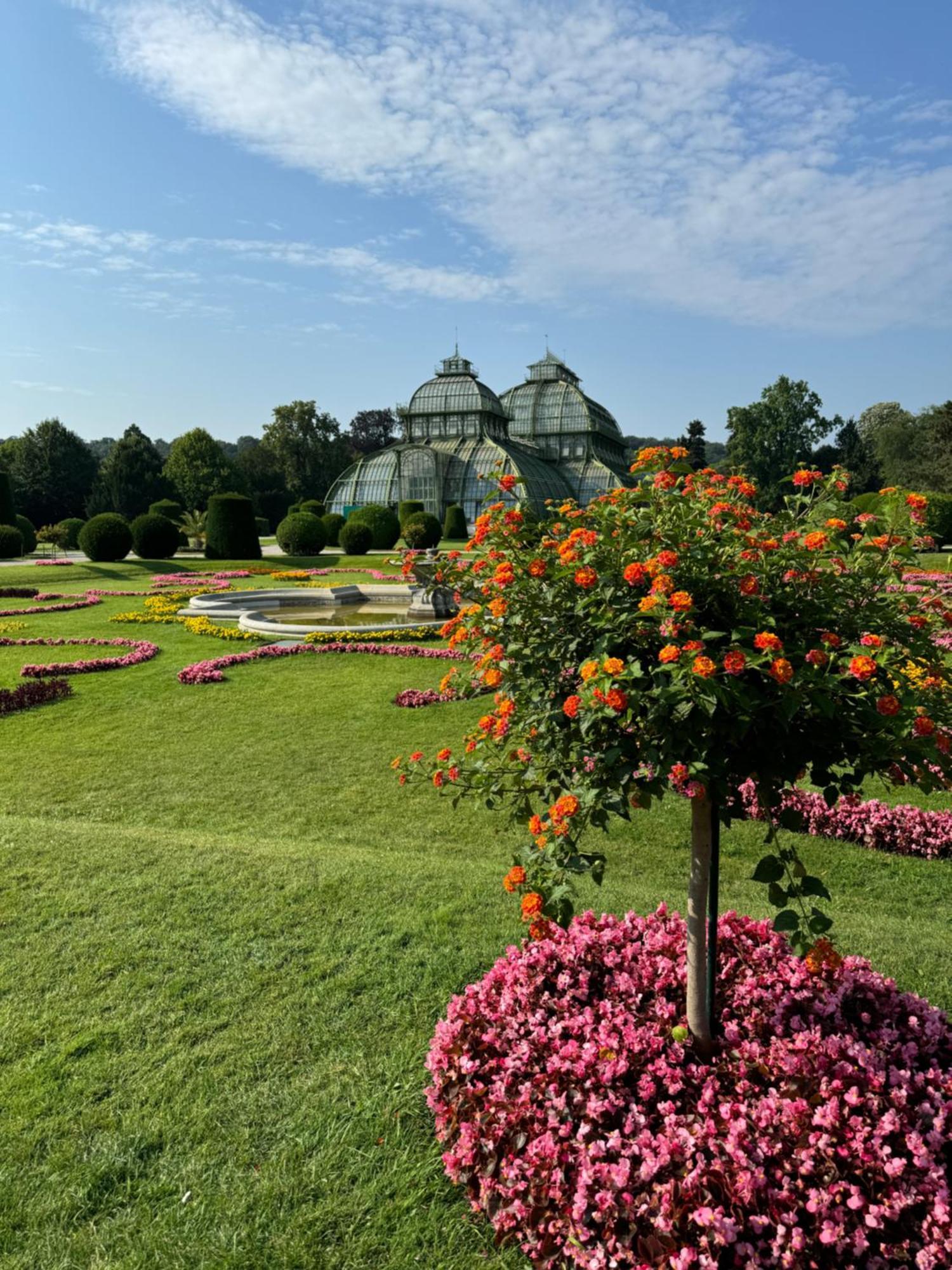 City Apartment Nahe Schoenbrunn 13 เวียนนา ภายนอก รูปภาพ